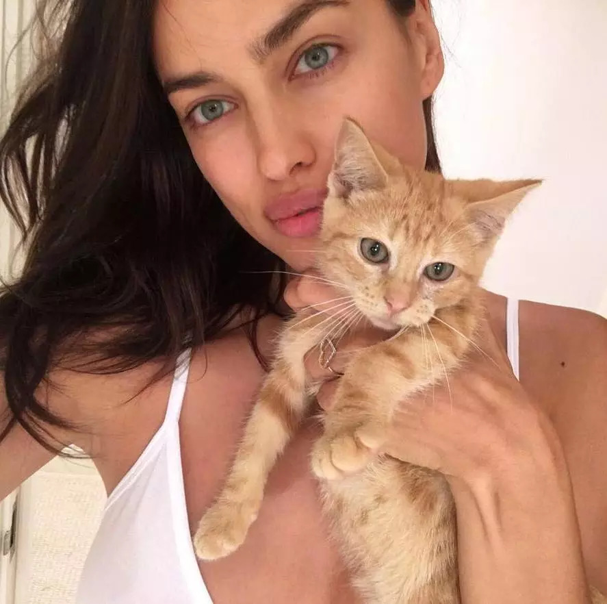 维密天使猫猫走秀,维密超模走秀猫咪