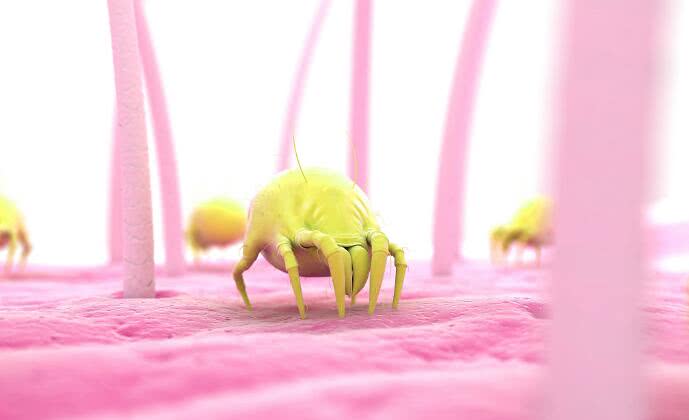 小狗d-620无线除螨仪,危机四伏翻盘小狗