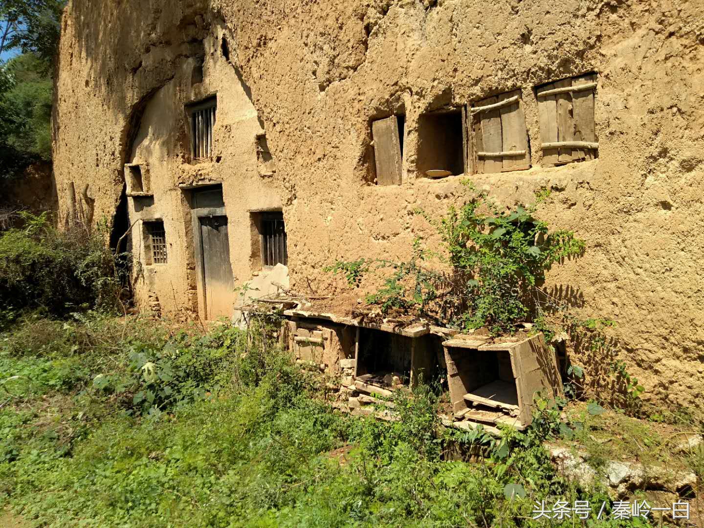 土蜂蜜四大名蜜,最好吃的土蜂蜜