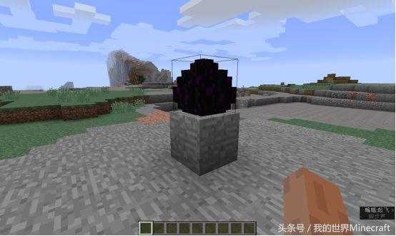 我的世界游戏你永远不知道的事情,我的世界游戏中做过的事