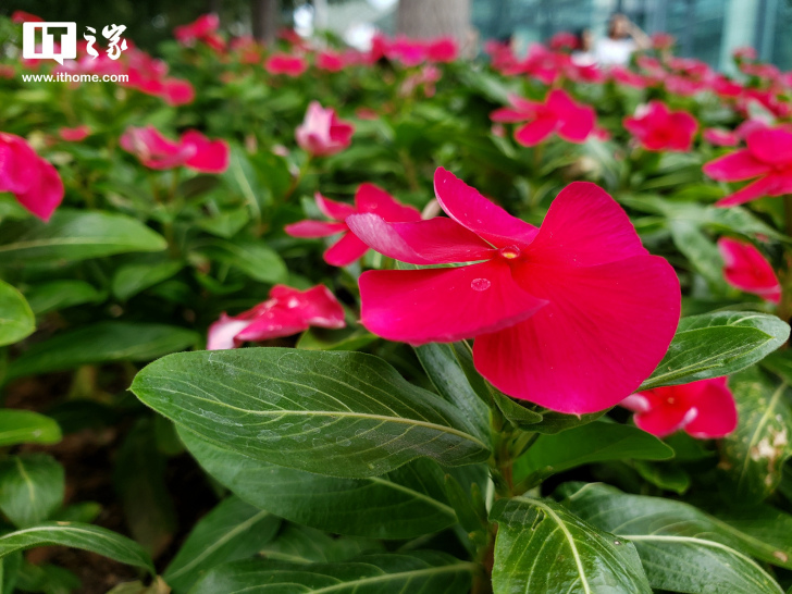 三星最值得入手的手机三星note9,三星GALAXYNote9参数