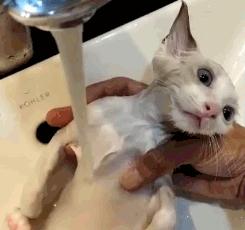 请问阁下可是向阳幼儿园扛把子？