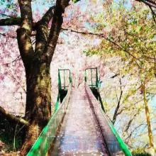 现在出国都是穷人吗,穷人出国能翻身吗