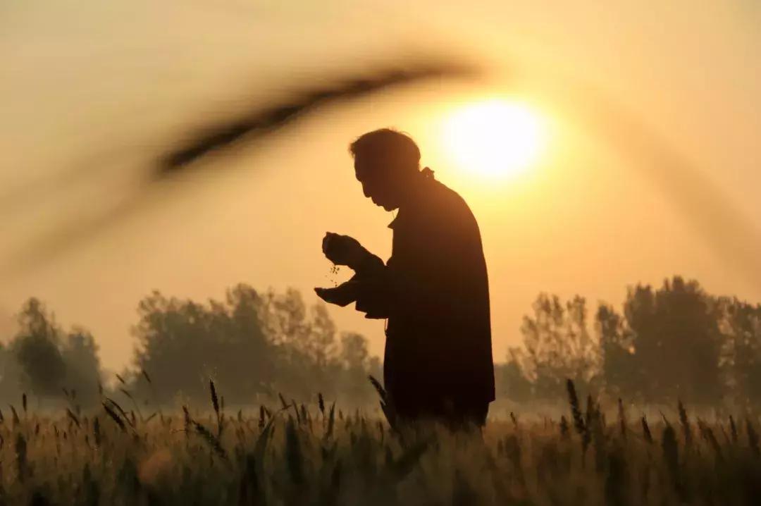拼多多真的无处不在吗,拼多多买的不是质量而是生活