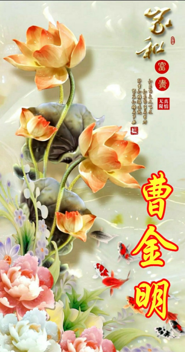 松鹤延年国画寓意,松鹤延年花语