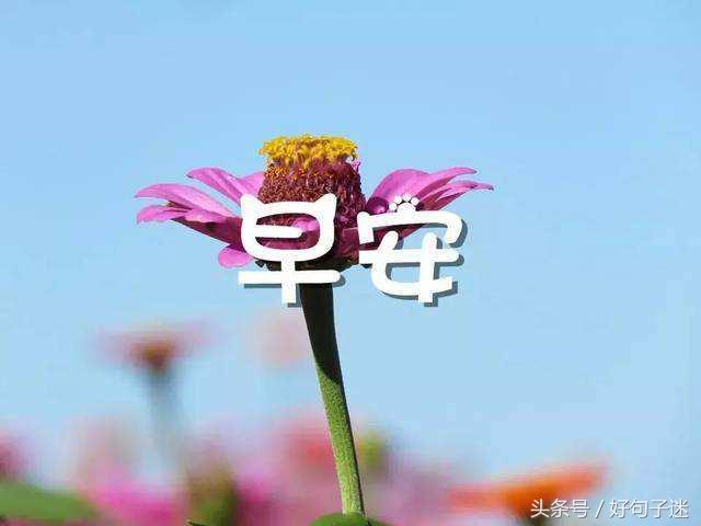 简短早安正能量早安吉祥心语,每日早安祝福语简短的