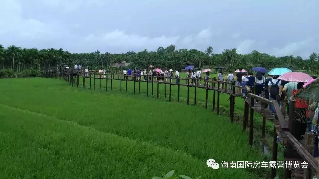 呦喂，老司机们！2018最新最全的海南营地数据更新啦……