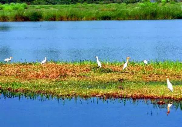 国庆去香港旅游怎么免费坐地铁,九月份去香港旅游
