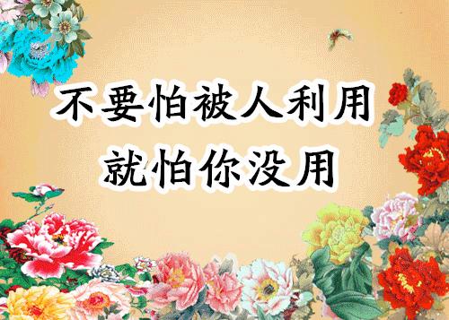 会动的图片大全大图,会动的花动态图片