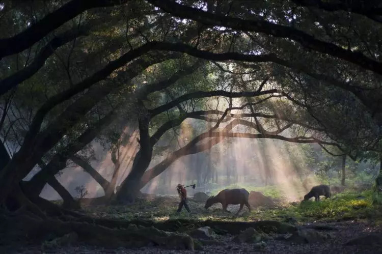 霞浦最值得去的岛,霞浦必去的几个岛屿