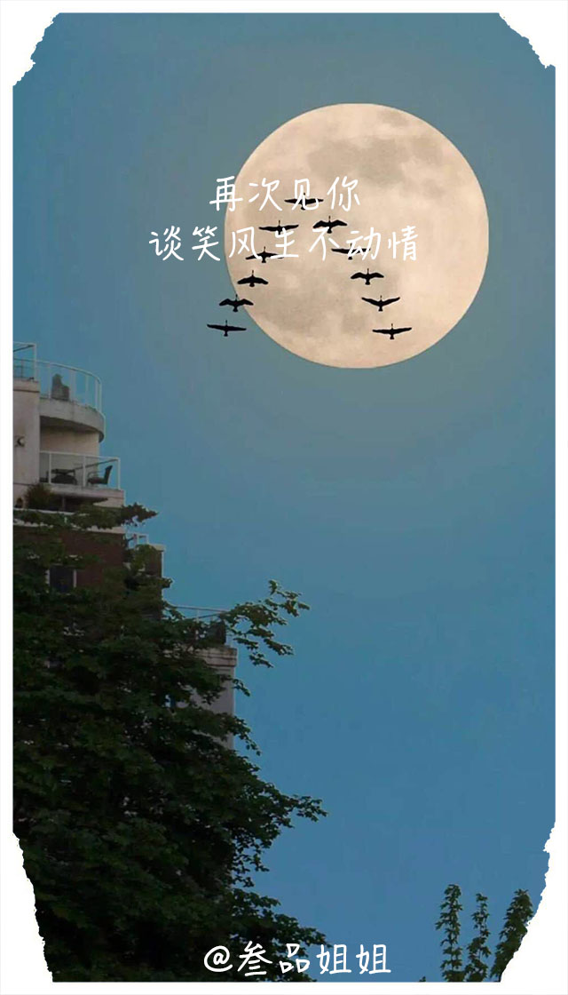 微信置顶语录经典句子,微信语录经典语句