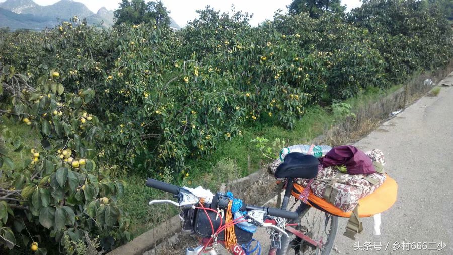 平凡之路赏析,平凡之路赏析及感悟