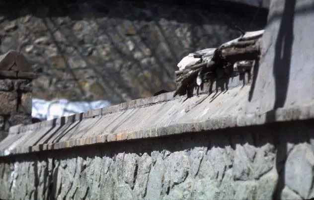 FUN｜美国人拍摄1972年唐山