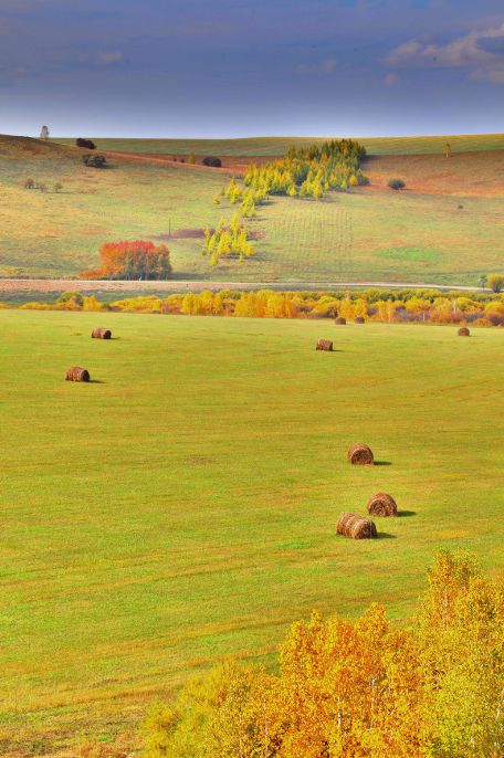 我存了256G的小黄片想和你深夜一起看