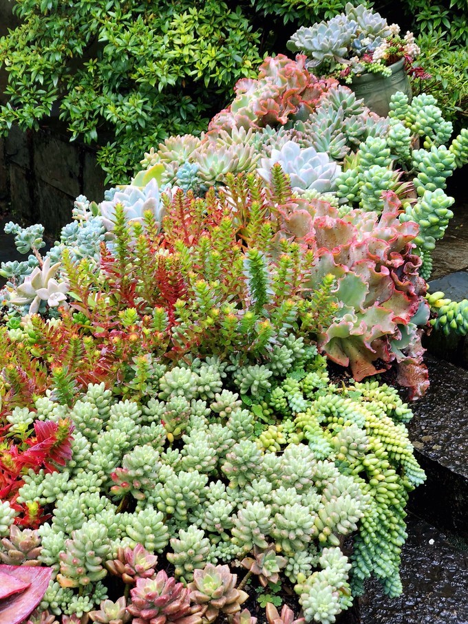 我是云南人搞笑视频,昆明大理腾冲视频