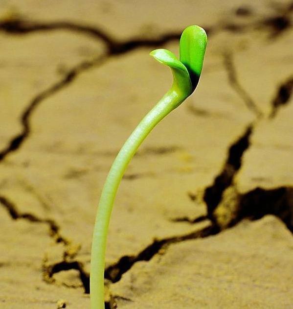 卡耐基人性的弱点精髓100句,卡耐基人性的弱点经典语录