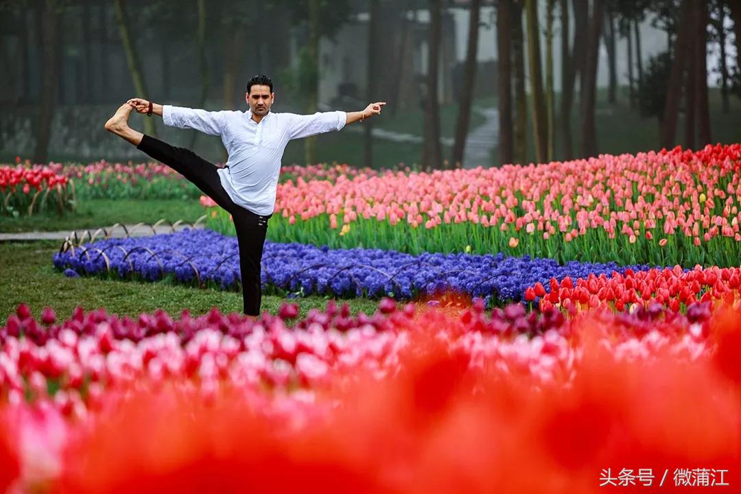 于城市后花园遇见生活美学石象湖景区美skr人！
