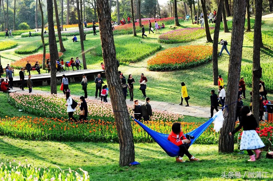 于城市后花园遇见生活美学石象湖景区美skr人！