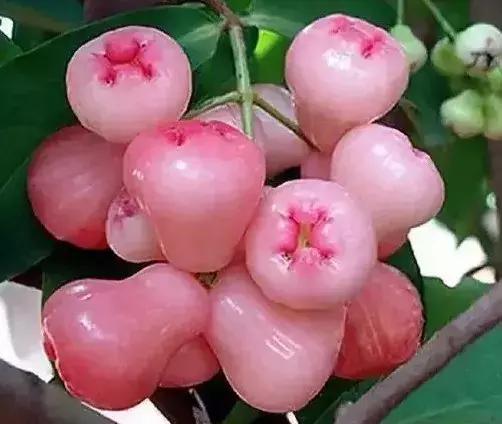 美国看痔疮手术,在美国看癌症和在中国看病的区别