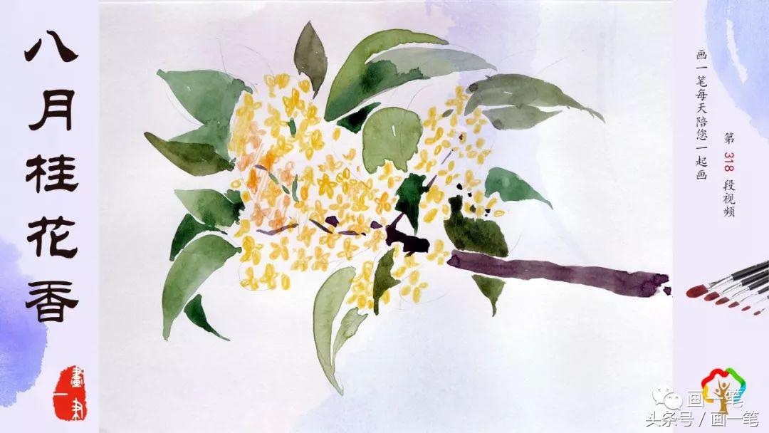 画中草药蒲公英最漂亮,彩铅画蒲公英