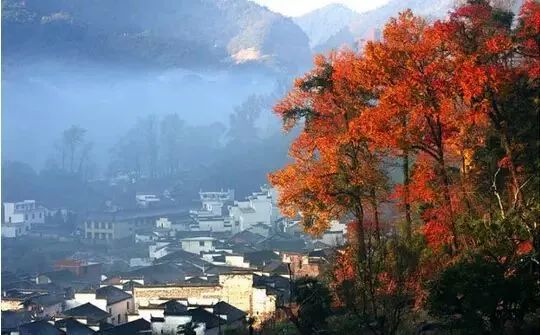 秋天最美婺源,秋季的婺源据说很美