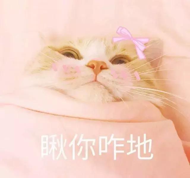 冬季平价滋润型水乳,平价保湿水乳套装哪款好用又实惠