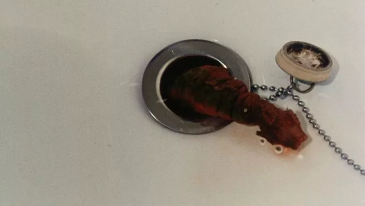 突变、寄生、改造，感受这个加拿大怪咖带给你的极致肉体恐怖