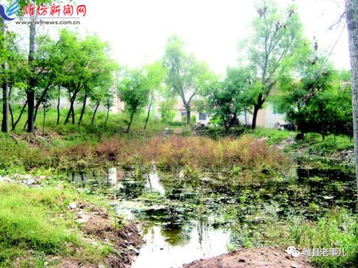 潍县有泉无?且看《寻泉记》!