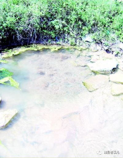 潍县有泉无?且看《寻泉记》!