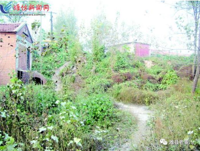 潍县有泉无?且看《寻泉记》!