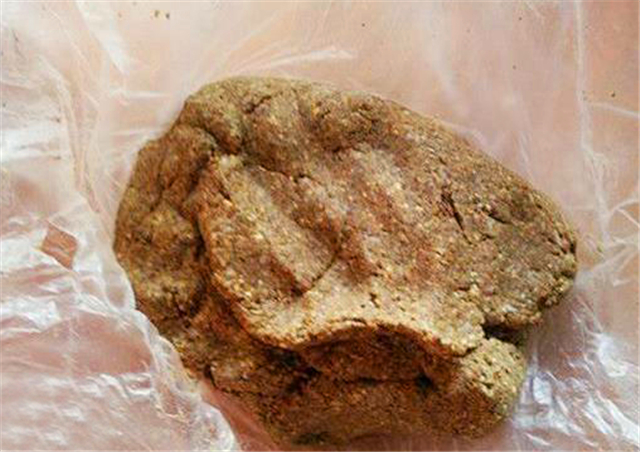 水塘肥水有鱼不开口怎么回事,鱼儿在鱼缸底不动是什么原因