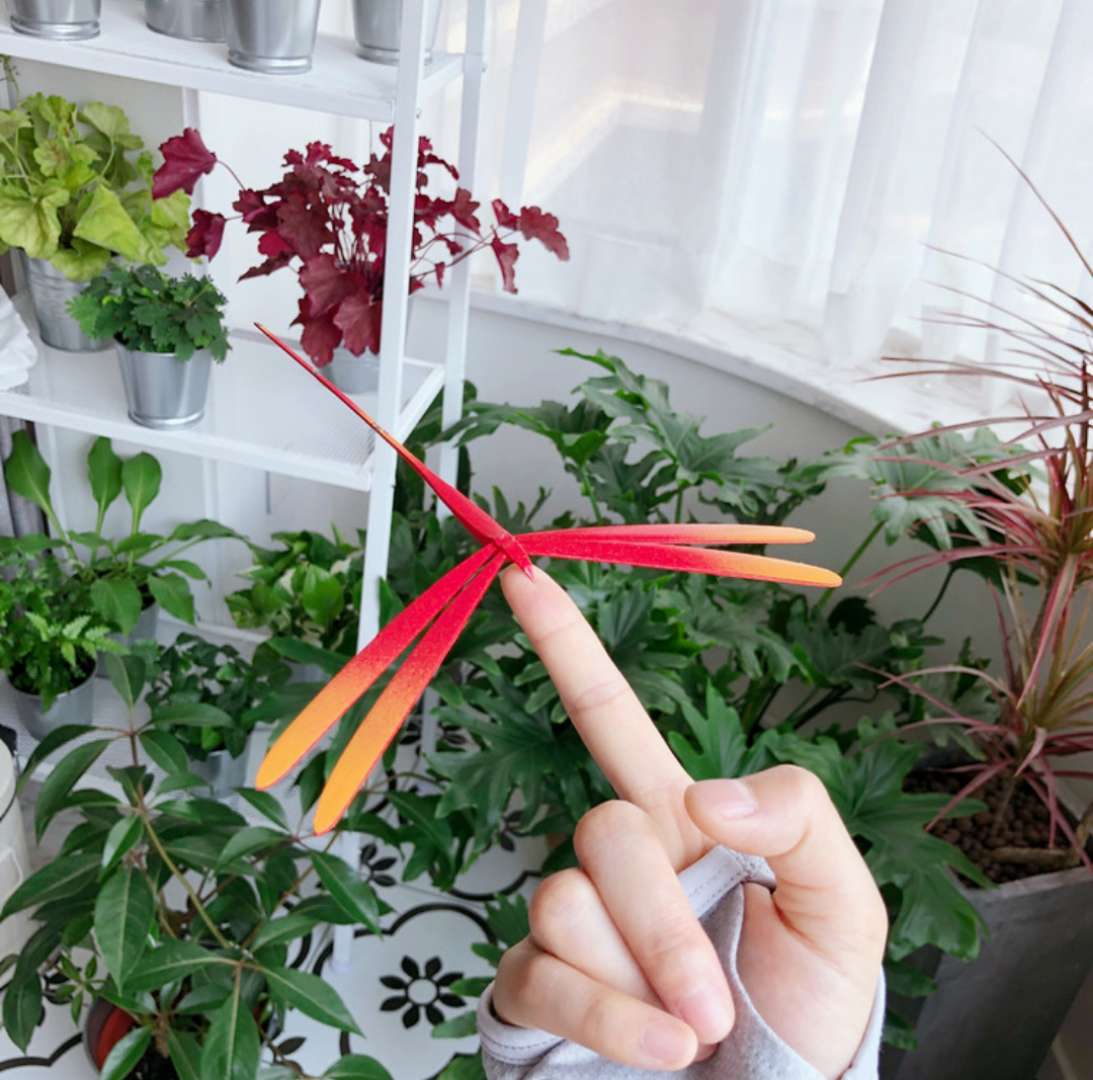 旅行博主改造北京小院,旅行爱好者装修房间