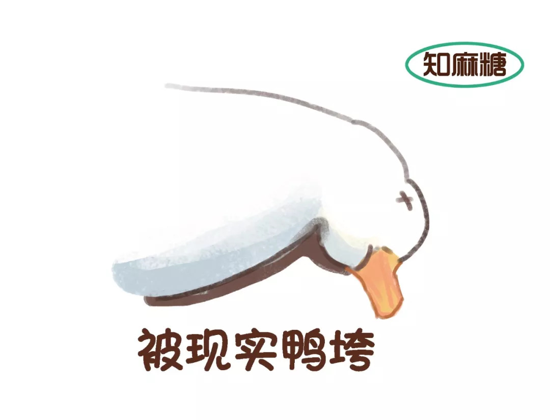 那些年，和带教老师创作的神段子！