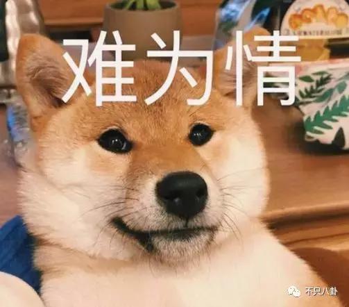 放狗咬人、脏话还打孕妇？以甜美著称且百万粉丝的她竟有两张面孔