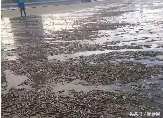 烟台第一美女是谁,山东第一美女在烟台