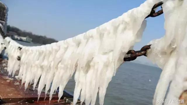 烟台第一美女是谁,山东第一美女在烟台