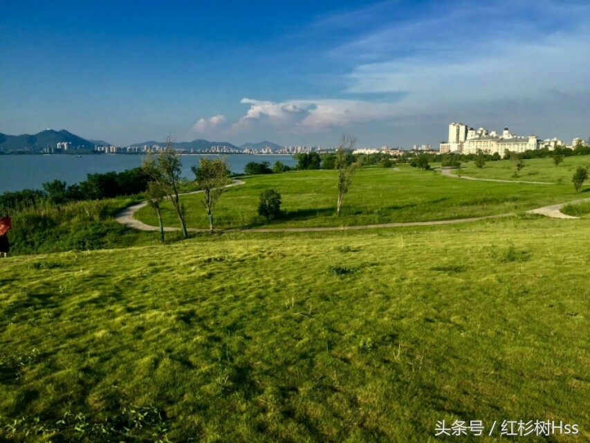 老师你们辛苦了图片,老师你们辛苦了原版