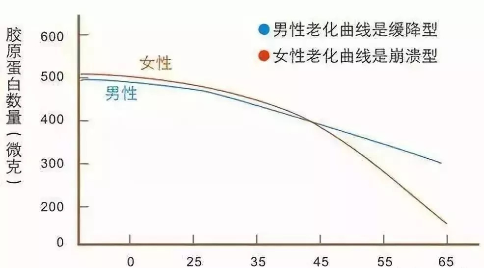 冻龄女神胶原蛋白,胶原蛋白怎么补才真的有效