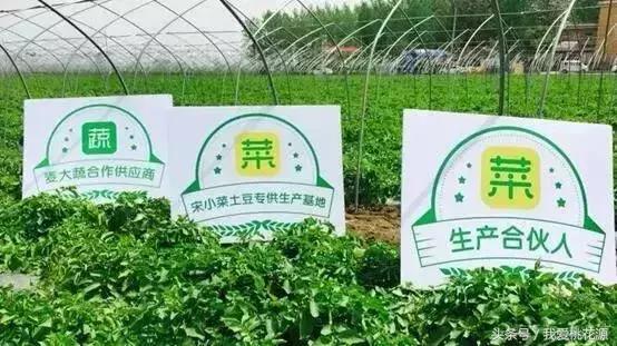 年销售额2亿的公司怎么样,年销售额超2亿的企业