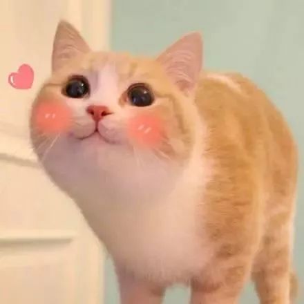 再见代购再见微商,跟代购微商说再见