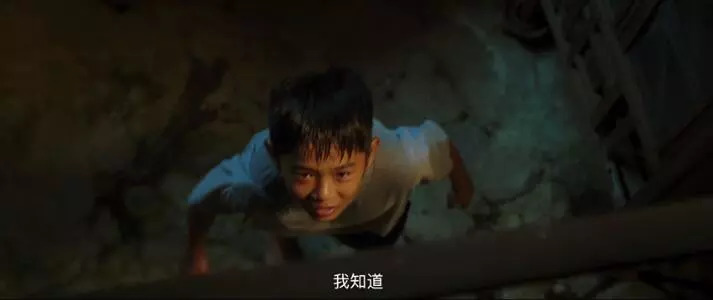 体育传记电影,掌握这些套路你绝对可以成为高手