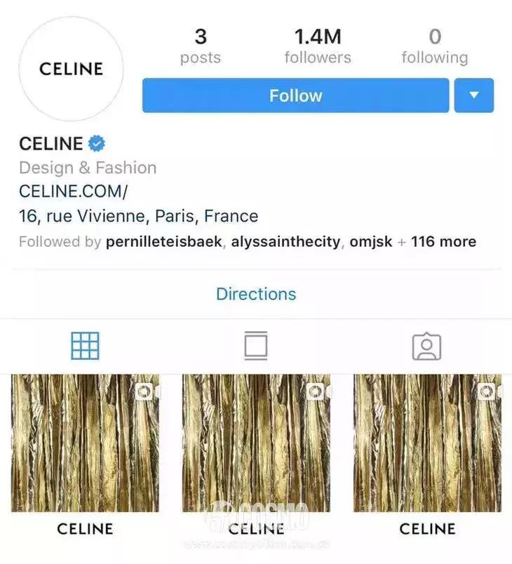 王菲celine包,celine王菲同款