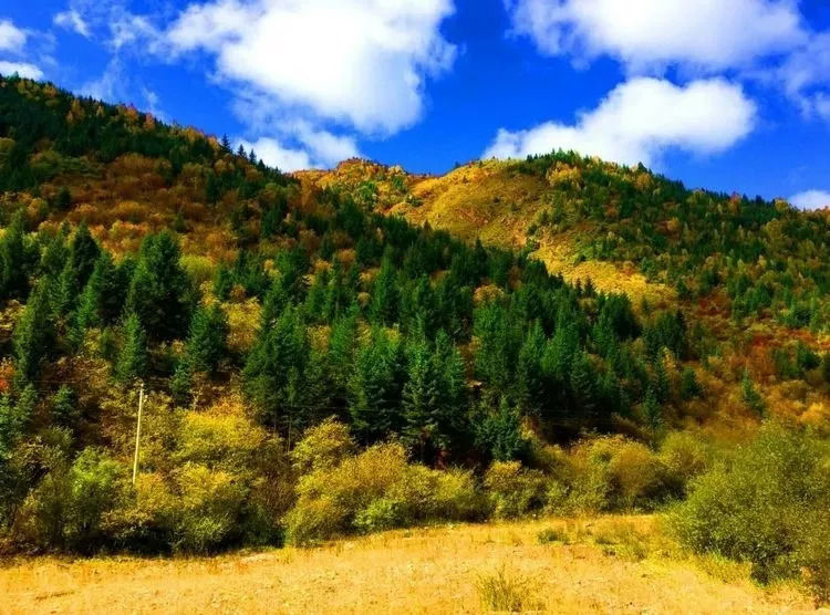 秋天甘南旅游攻略,看甘南草原风光