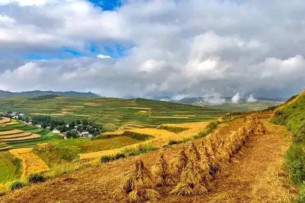 秋天甘南旅游攻略,看甘南草原风光