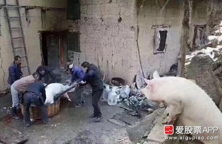 总结a股几次大底形成的条件,a股历史大底部特征分析