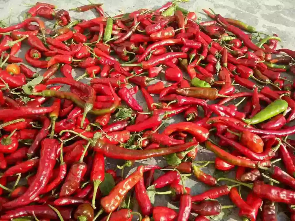 妈妈牌闹钟,妈妈牌摇摇车原视频