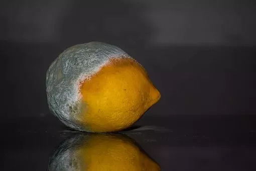 5种菜既伤肝伤肾还致癌,饮食健康不能吃哪些食物