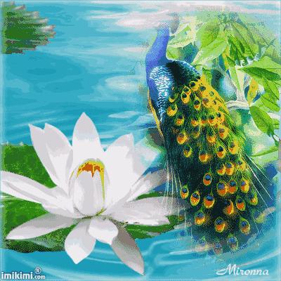 七九届同学四十年聚会通知,年底团年同学聚会简短通知