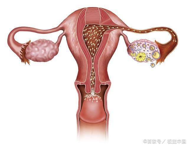 女人备孕不努力,备孕女性月经不正常如何调理