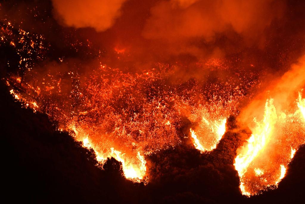 您知道《周易》“离”卦原来与火、鸟和牛有关系吗？